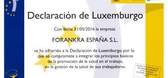 Declaración de Luxemburgo